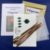 Kit carte sapin – Image 3